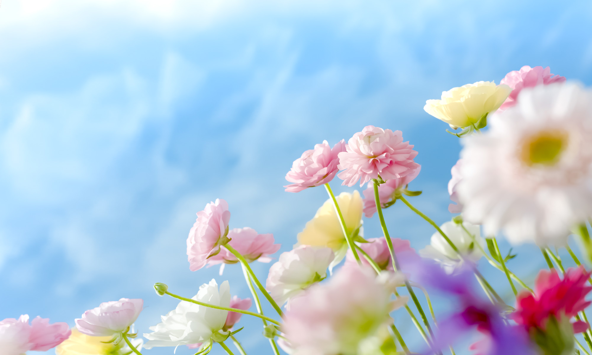 Colorful life.[create-web.]